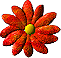 ICQ